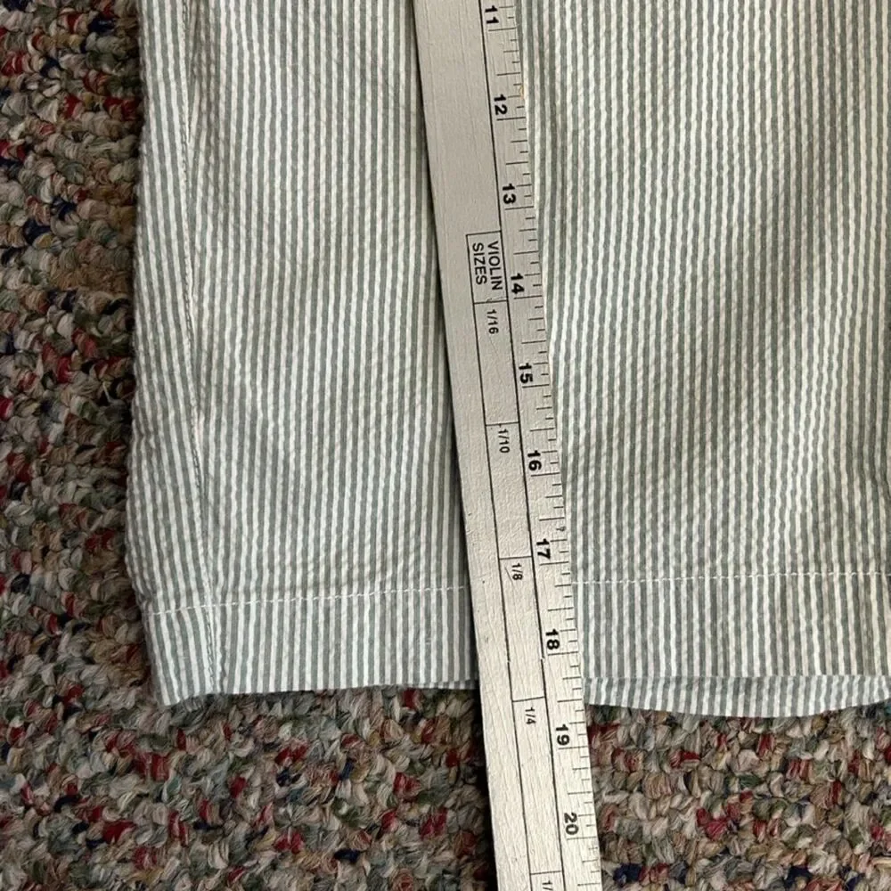 J. Crew Men's Green White Pinstripe Seersucker Flat Front PreppyPinst Shorts Siz